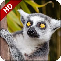 Animal sounds for kids DELUXE