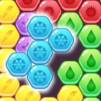 Hexa Puzzle Block Game