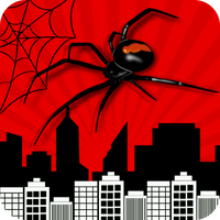Spider webs : Puzzle game