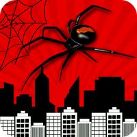 Spider webs : Puzzle game