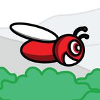 HAPPY BUGS