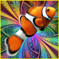 Clown Fish