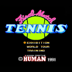 Final Match Tennis PCE