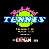 Final Match Tennis PCE
