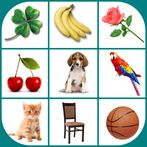 Brain game. Picture Match.
