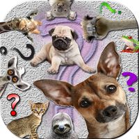 اسأل الحيوانات المُضحكة