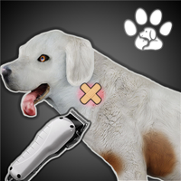 Animal Shelter Simulator Pro