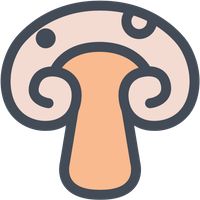 Un'avventura fantastica