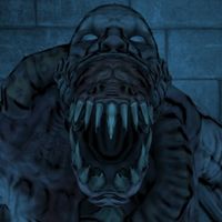 The Maze Pro