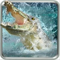 Ocean Crocodile Attack 2017