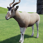 Happy Addax Simulator