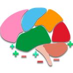 Brain training | Тренировка мо