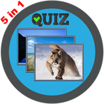 Word Games: guessing games