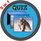 Word Games: guessing games