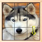 Puzzle Challenge: Brain Teaser