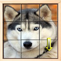Puzzle Challenge: Brain Teaser