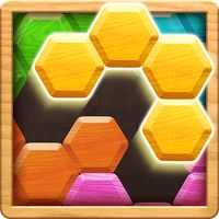 Wood Block Puzzle - Hexa