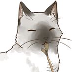 manee the cat