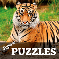 Jigsaw Puzzle Games For Adults