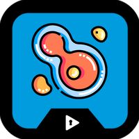 Escapeplay Cell Cycle