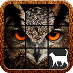 Owl Slide Puzzle