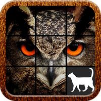 Owl Slide Puzzle