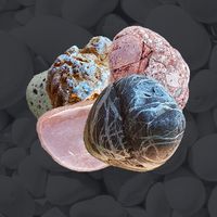 Pebble2Pebble, find match game