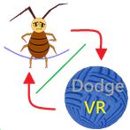Combo:jump rope & dodge ball