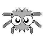 Rag The Spider