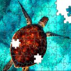 Turtle's Jigsaw Puzzles