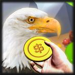 Eagle Retriever
