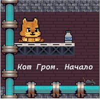 Cat Thunder. Beginning