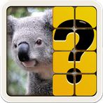 Guess The Picture