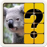 Guess The Picture