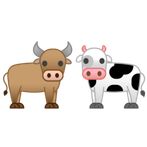 YPO Bulls And Cows