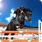 Real Horse Run