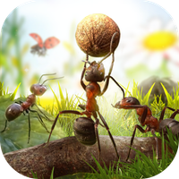 Ants Kingdom