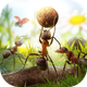 Ants Kingdom
