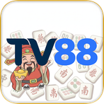 TV -88