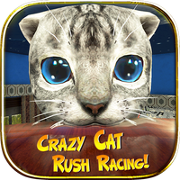 Crazy Cat Rush Racing