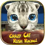 Crazy Cat Rush Racing