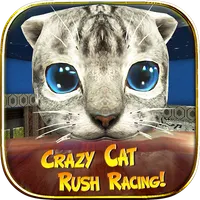 Crazy Cat Rush Racing