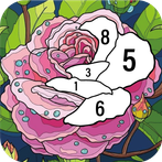 Painting book -Paint by Number