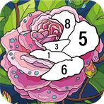 Painting book -Paint by Number