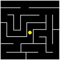 The Maze Puzzle