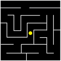 The Maze Puzzle