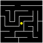 The Maze Puzzle