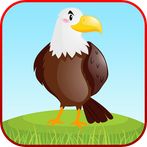 Bird Sounds Fun Learning Games