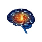 Memory Game. Brain Training