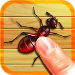 Bug Smash